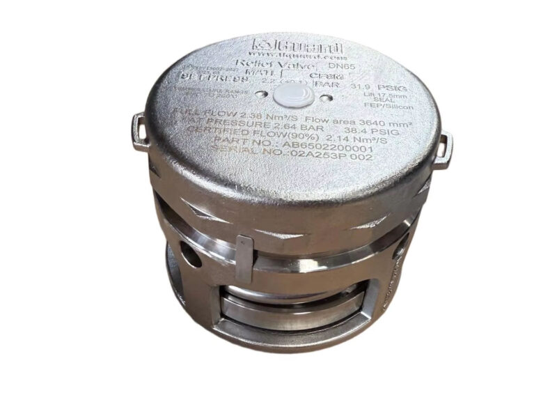 Pressure Relief Valve YSF-80 — product family image