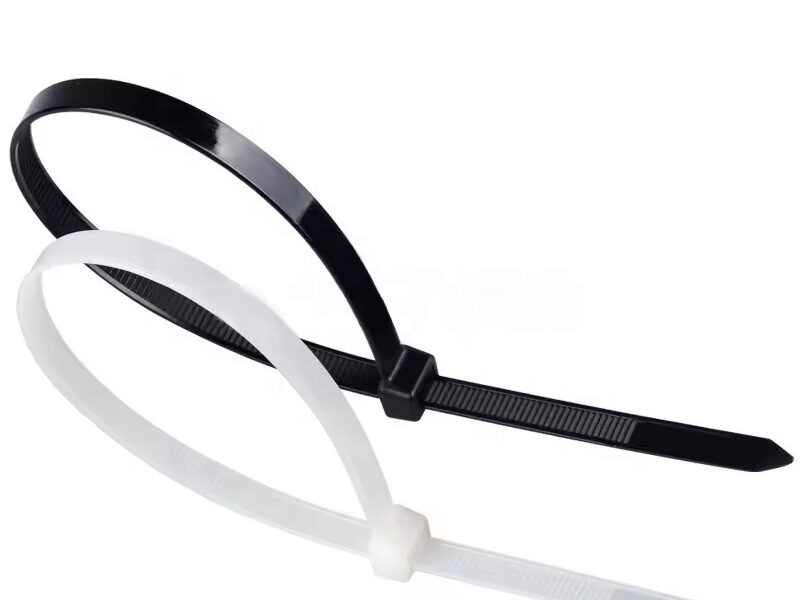 2.5×100 Nylon Cable Tie for Cable Bundling — product family image